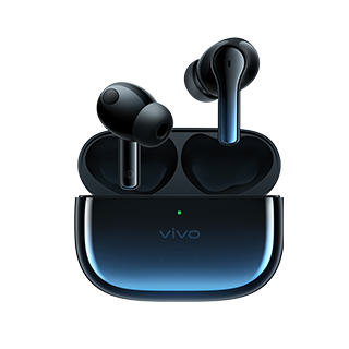 vivo TWS 2