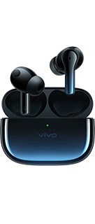 vivo TWS 2