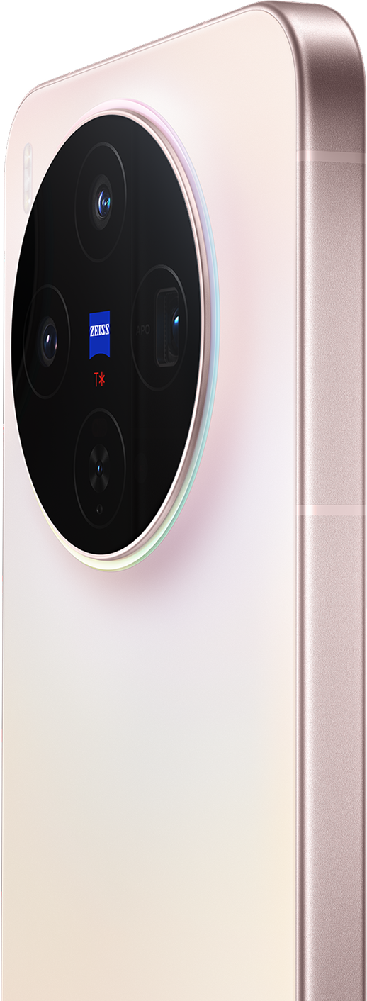 Vivo X300 16GB+1TB Pink