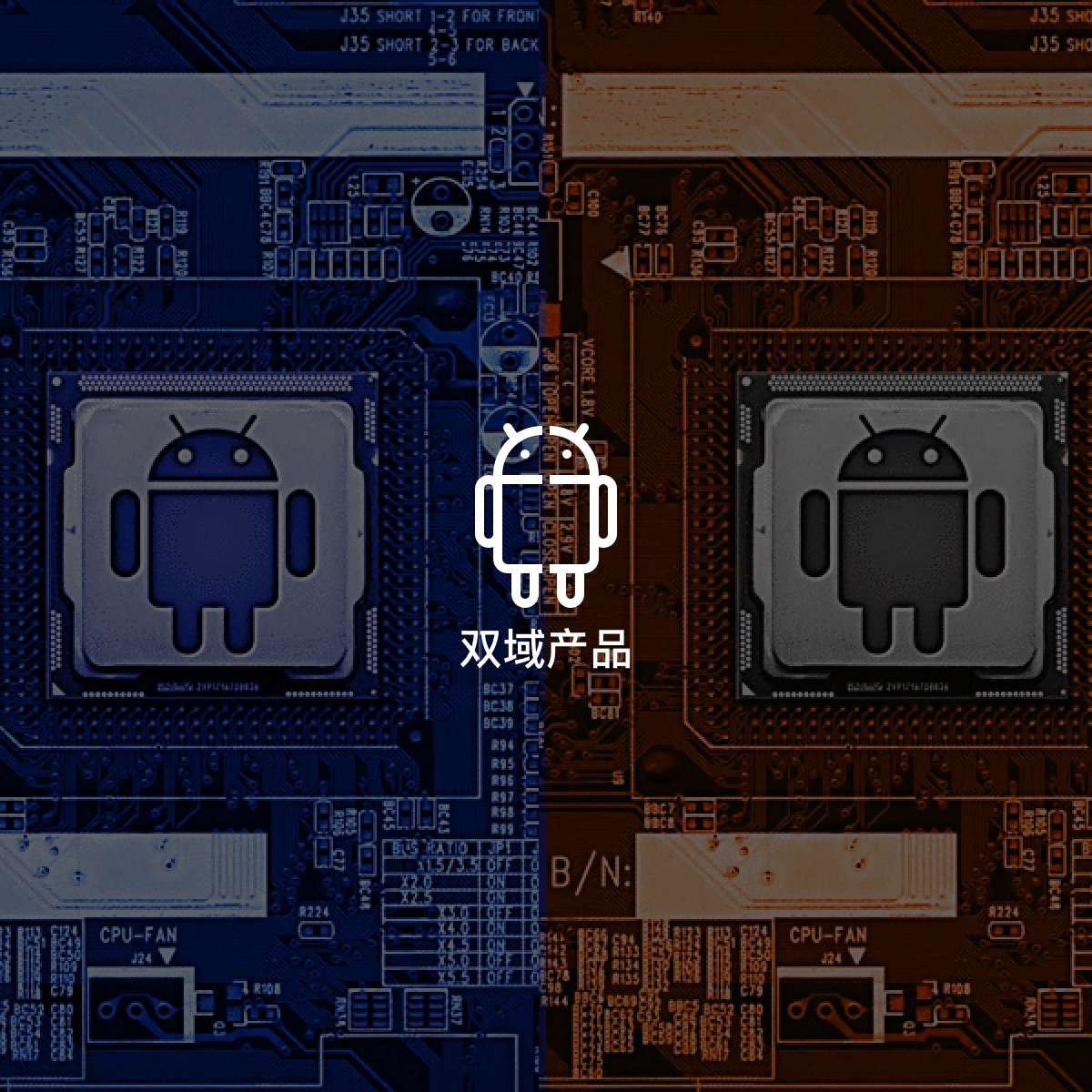 雙域產品解決方案